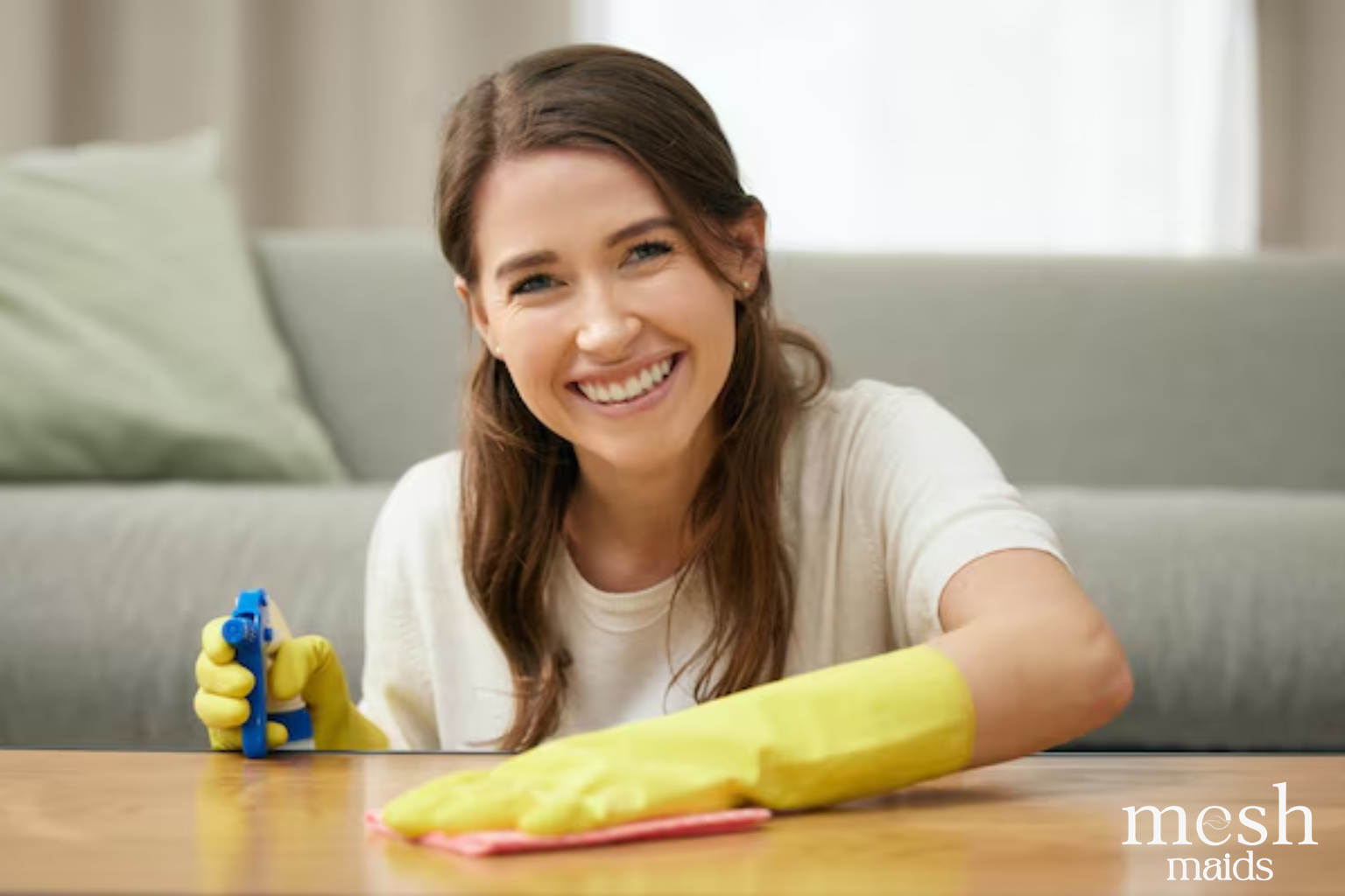 Happy Mesh Maids professional cleaner